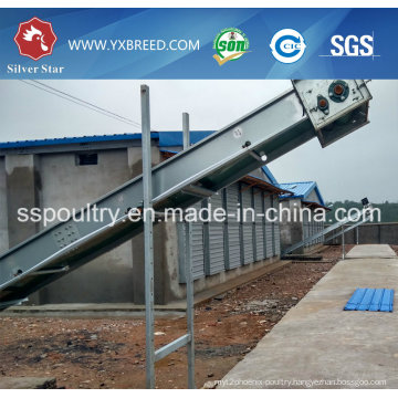 Galvanized Steel Battery Layer Cage